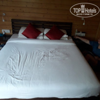 фото из отзыва ID 1729018