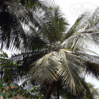 фото из отзыва ID 1729018