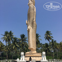 фото из отзыва ID 1729056