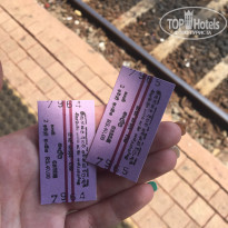 фото из отзыва ID 1729056