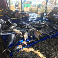 фото из отзыва ID 1729056