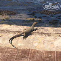 фото из отзыва ID 1729056