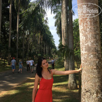 фото из отзыва ID 1729056