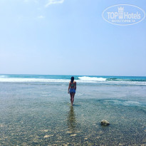 фото из отзыва ID 1729056