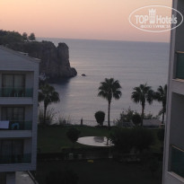 фото из отзыва ID 1729205