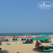 фото из отзыва ID 1729366