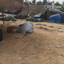 фото из отзыва ID 1729366