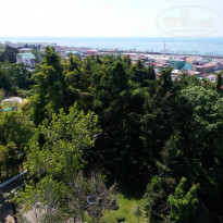 фото из отзыва ID 1729373