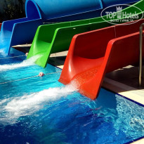 фото из отзыва ID 1729395