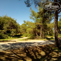 фото из отзыва ID 1729395