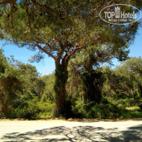 фото из отзыва ID 1729395