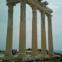 фото из отзыва ID 1729395