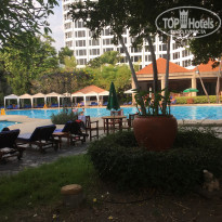 фото из отзыва ID 1729462