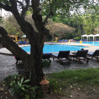 фото из отзыва ID 1729462