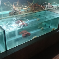 фото из отзыва ID 1729473