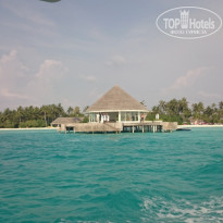 фото из отзыва ID 1729473