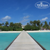 фото из отзыва ID 1729473