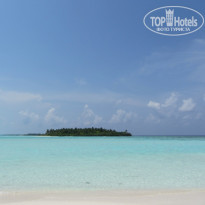 фото из отзыва ID 1729473