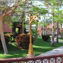 фото из отзыва ID 1729478