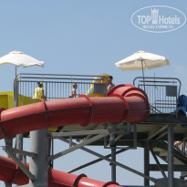 фото из отзыва ID 1729483