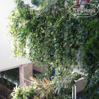 фото из отзыва ID 1729483