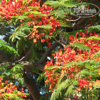 фото из отзыва ID 1729483