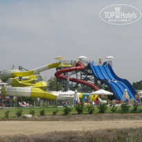 фото из отзыва ID 1729483