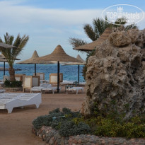 фото из отзыва ID 1729629