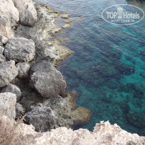 фото из отзыва ID 1729630