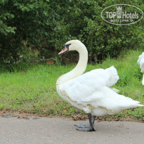 фото из отзыва ID 1729704