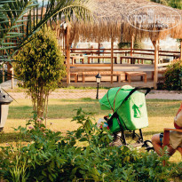 фото из отзыва ID 1729713