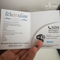 фото из отзыва ID 1729744