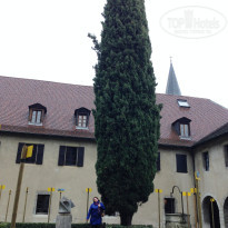 фото из отзыва ID 1729850