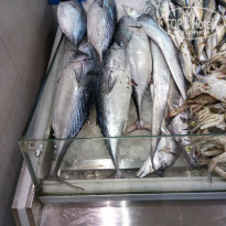 фото из отзыва ID 1729879