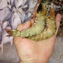 фото из отзыва ID 1729879