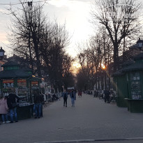 фото из отзыва ID 1729900