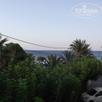 фото из отзыва ID 1729465