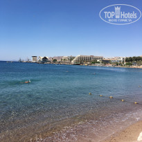 фото из отзыва ID 1729606