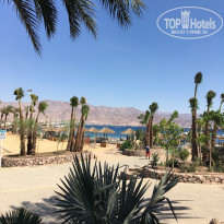 фото из отзыва ID 1729606