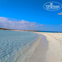 фото из отзыва ID 1726355