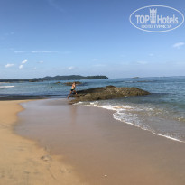 фото из отзыва ID 1728822