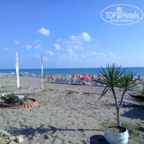 фото из отзыва ID 1724183