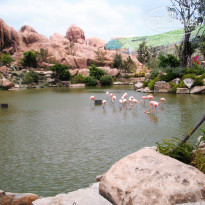 фото из отзыва ID 1724651