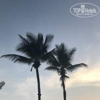 фото из отзыва ID 1728822