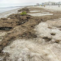 фото из отзыва ID 1723853