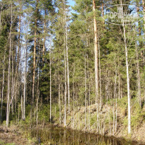 фото из отзыва ID 1723853