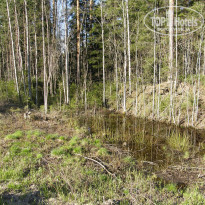 фото из отзыва ID 1723853