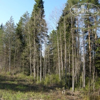 фото из отзыва ID 1723853