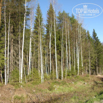 фото из отзыва ID 1723853