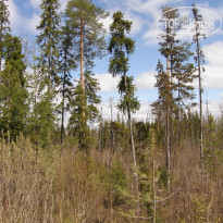 фото из отзыва ID 1723853